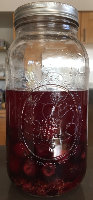 A batch of fledgling Cherry Bounce.